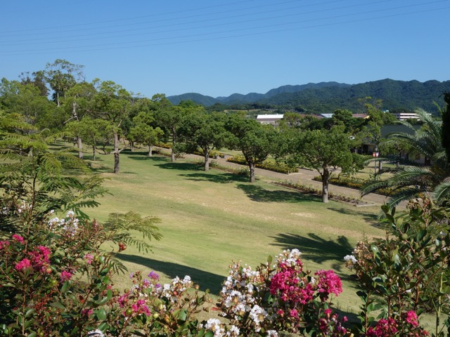 葛井寺