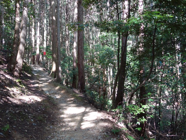 黒井城跡