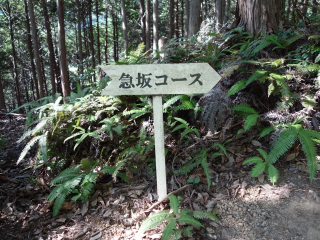 黒井城跡