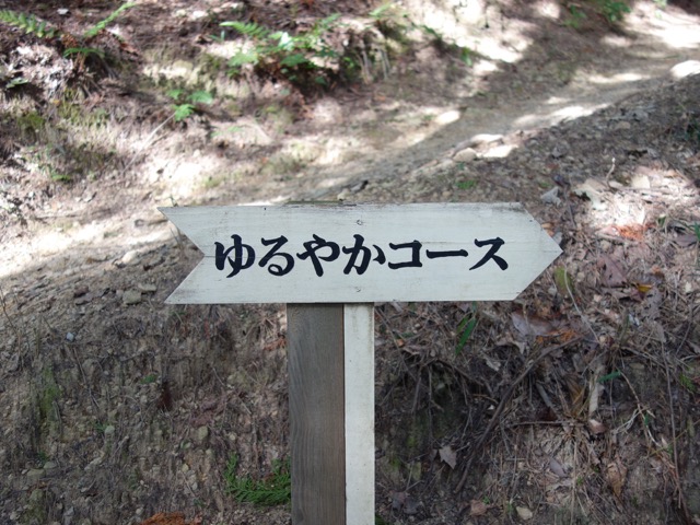 黒井城跡