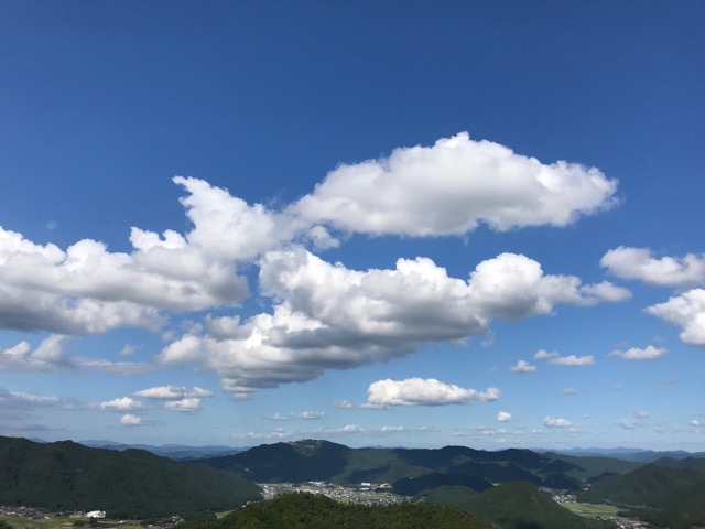 黒井城跡