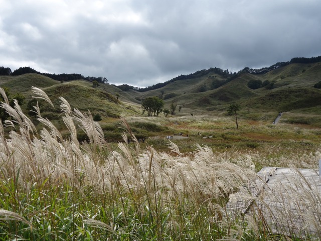 砥峰高原
