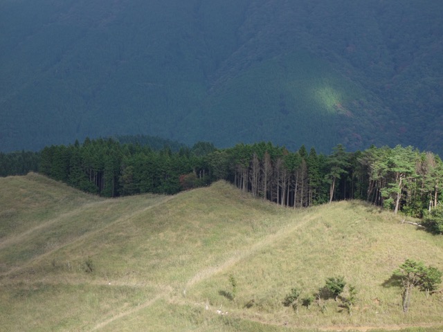 砥峰高原