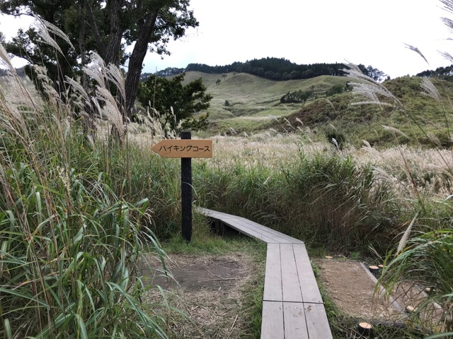 砥峰高原
