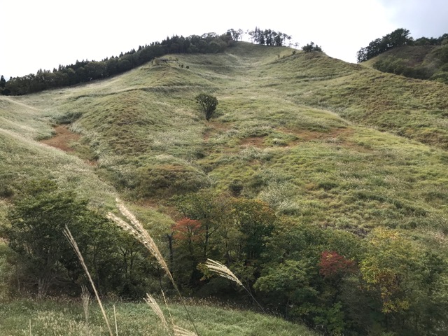 砥峰高原