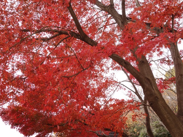 保久良神社