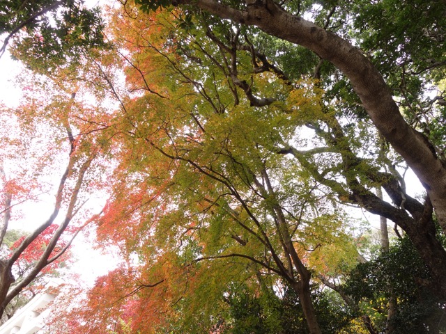 保久良神社