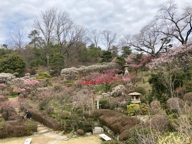 中山寺梅林