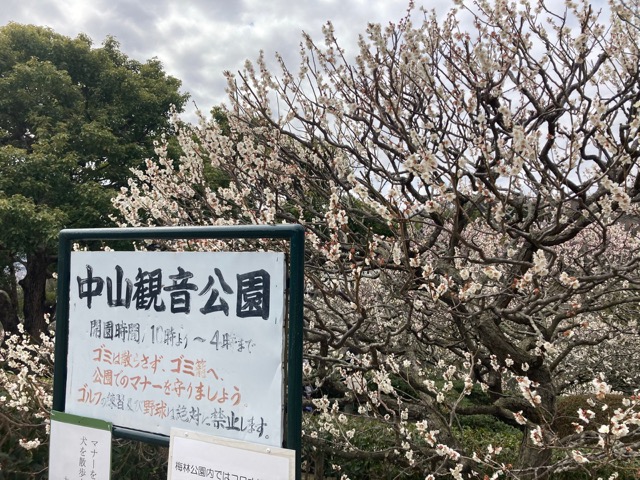 中山寺梅林