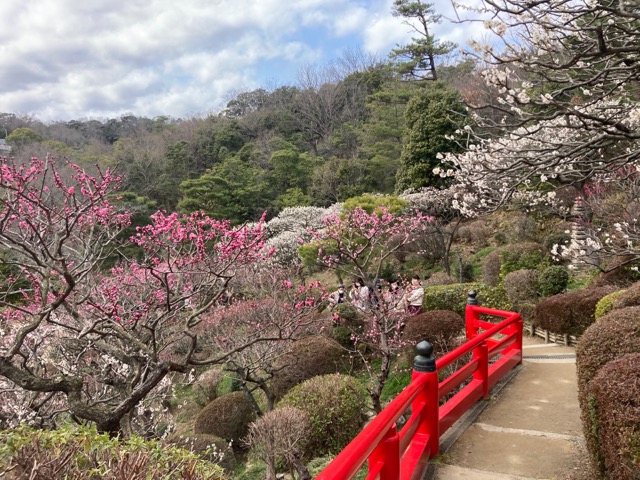 中山寺梅林