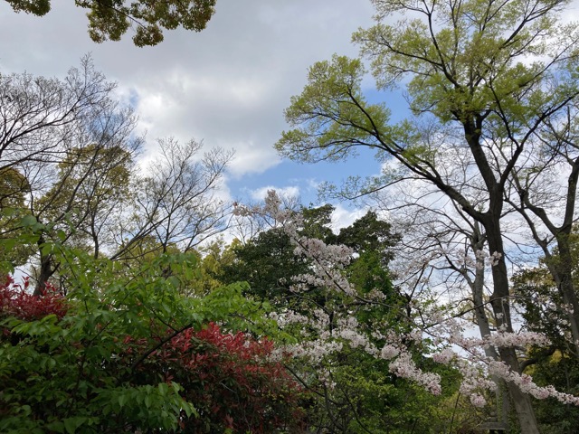 大江神社