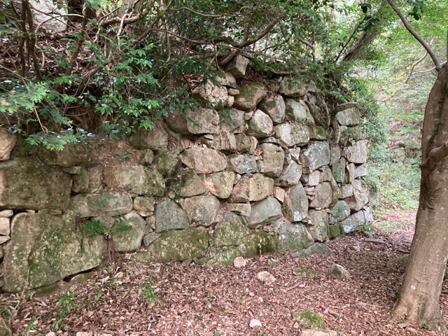 観音寺城跡