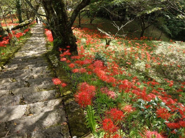 佛隆寺