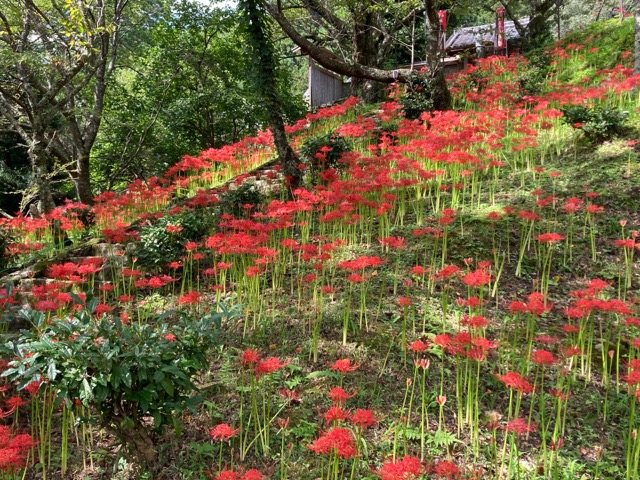 佛隆寺