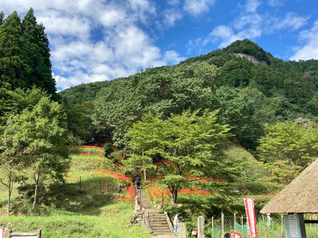 佛隆寺