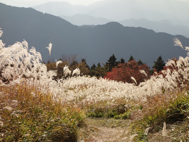 葛城山