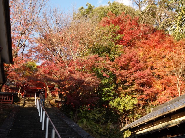 瑜伽神社