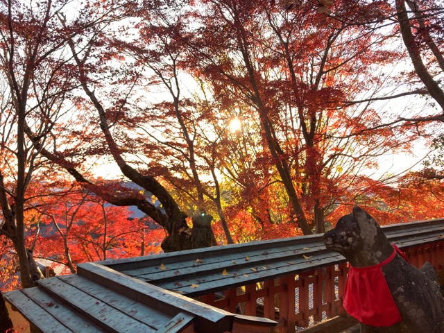 瑜伽神社