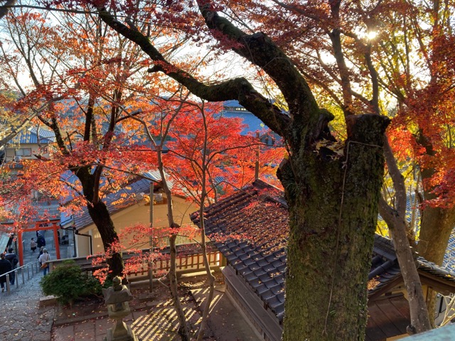 瑜伽神社