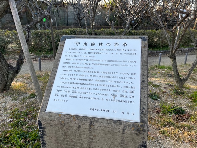 甲東梅林