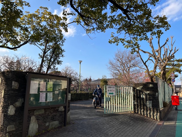 甲東梅林