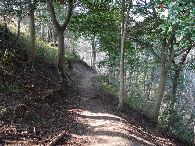 市章山・錨山