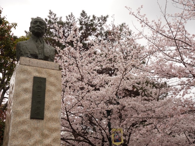 花のみち