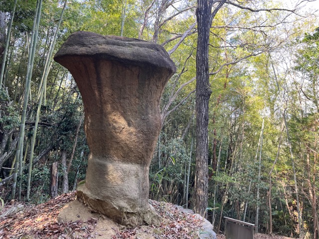 坊主岩