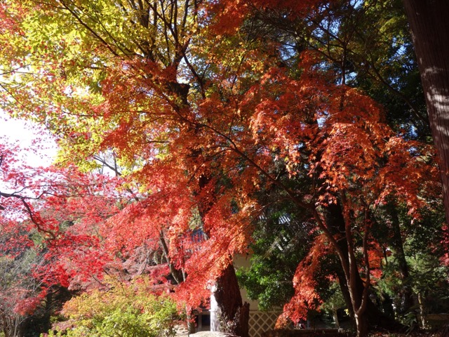 石峯寺
