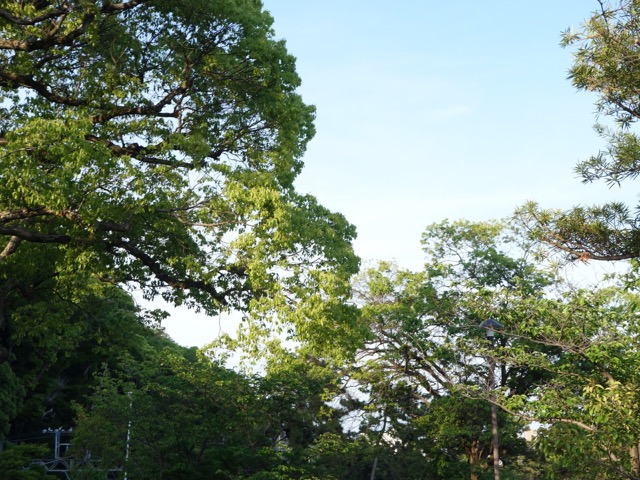 須磨浦公園