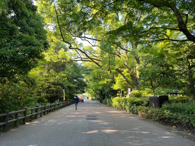 岐阜公園
