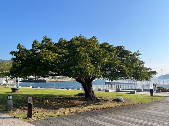 長崎水辺の森公園