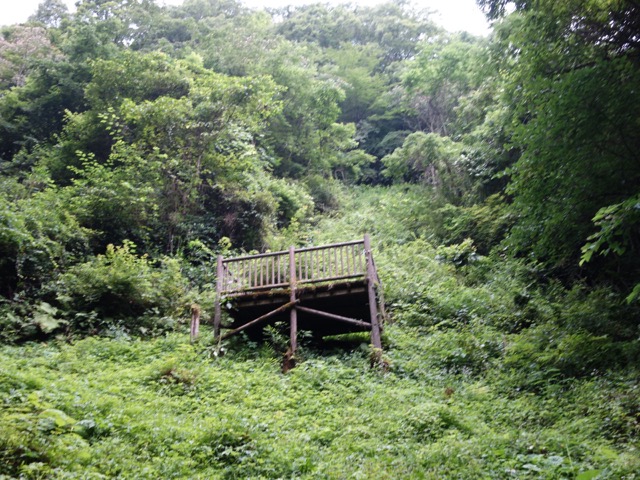 羅生門