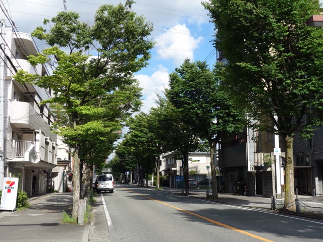 橘通り