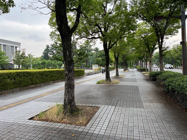 橘通り