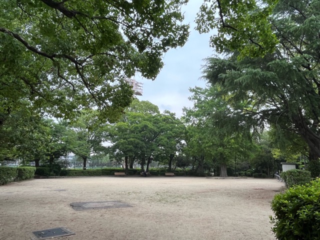 橘通り