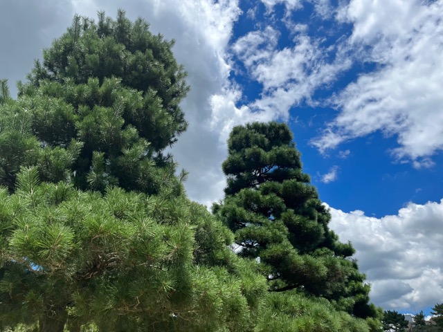 縮景園