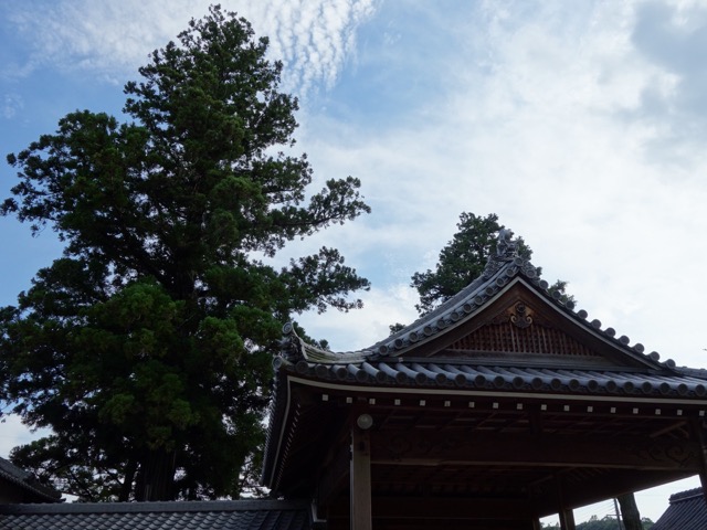 御坂神社