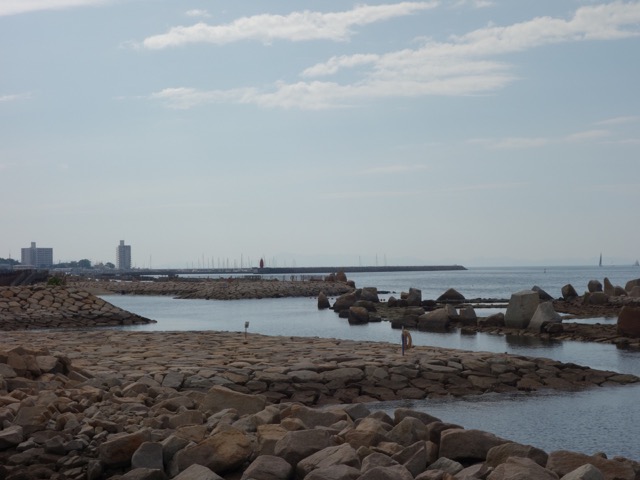 箱作海水浴場(ぴちぴちビーチ)