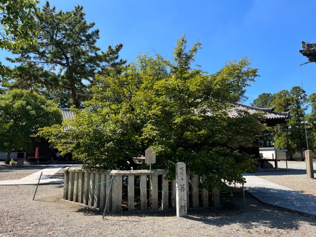 鶴林寺