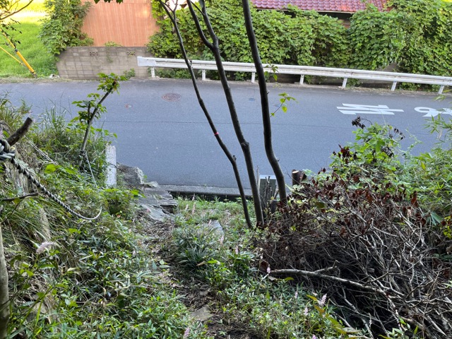 八十の岩橋