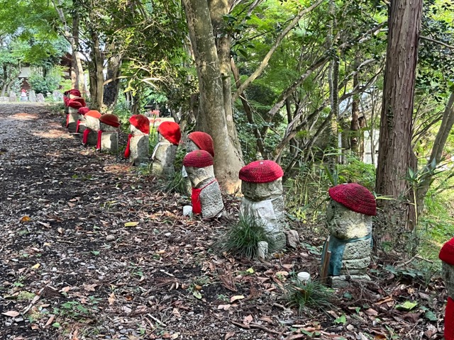 伽耶院