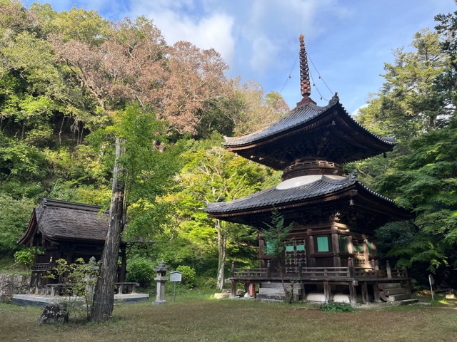 伽耶院