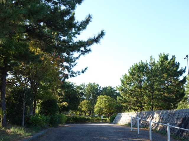 甲子園浜海浜公園