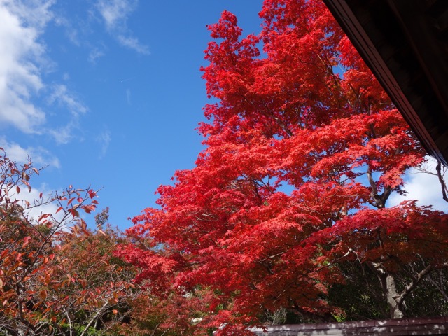 満願寺