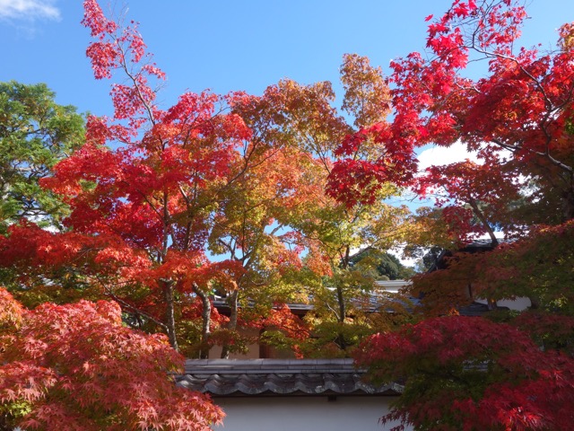 満願寺