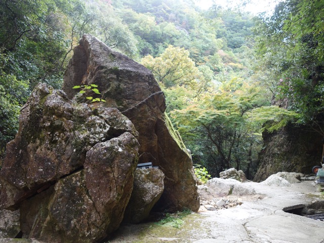 最明寺滝