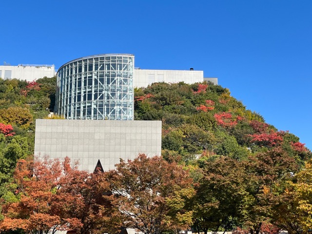 天神中央公園