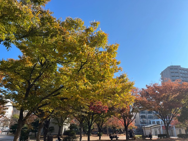天神中央公園