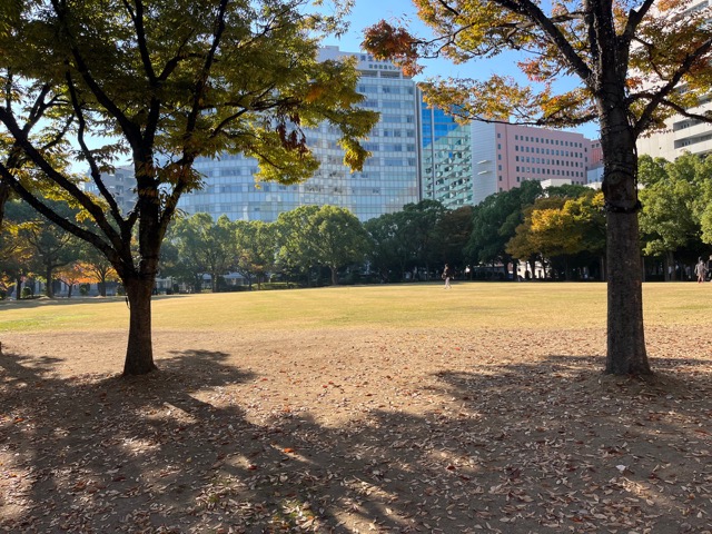 天神中央公園